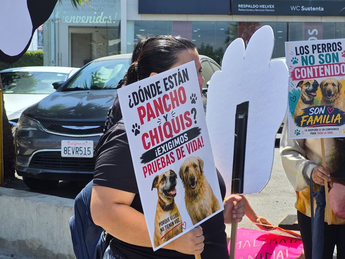 Integrantes de Patitas Firmes pidieron a la influencer Sol de León informar sobre el paradero de dos perros adoptados y presentar evidencia de su estado de salud.
Fotos: Michelle Castillo.