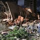 Estados Unidos anunció ayuda humanitaria para Venezuela tras los terremotos y activó equipos de rescate, suministros médicos y coordinación de emergencia