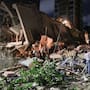 Estados Unidos anunció ayuda humanitaria para Venezuela tras los terremotos y activó equipos de rescate, suministros médicos y coordinación de emergencia