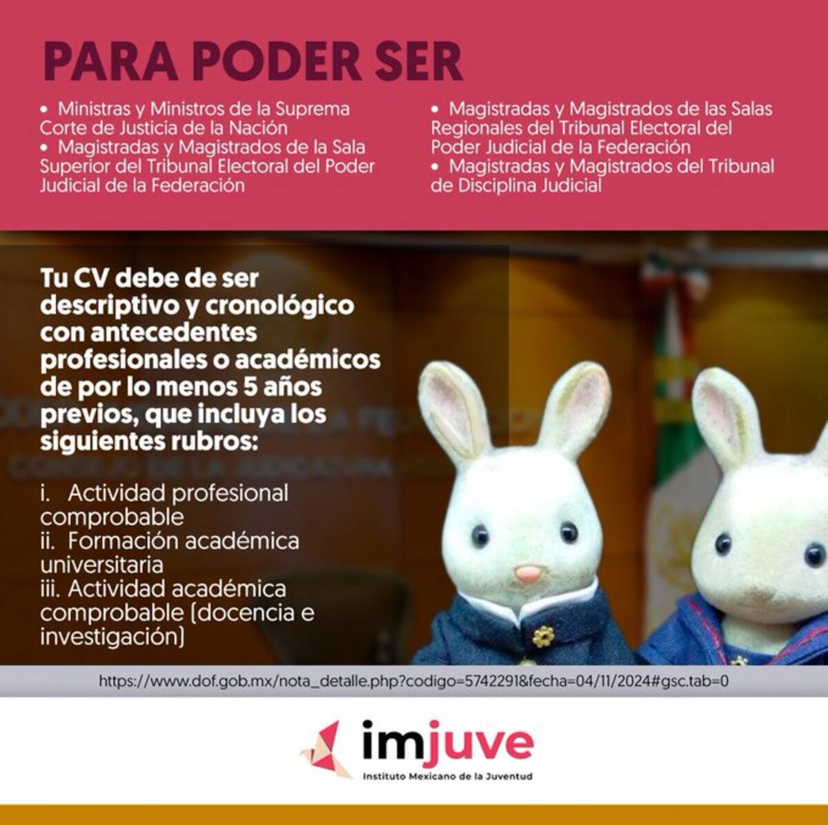 Postulación para ministros y magistrados con antecedentes académicos comprobables. / Captura de pantalla. @imjuvemx en X