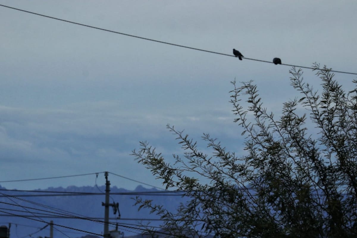 Mexicali tendrá lunes templado y con nubes; sin lluvias relevantes