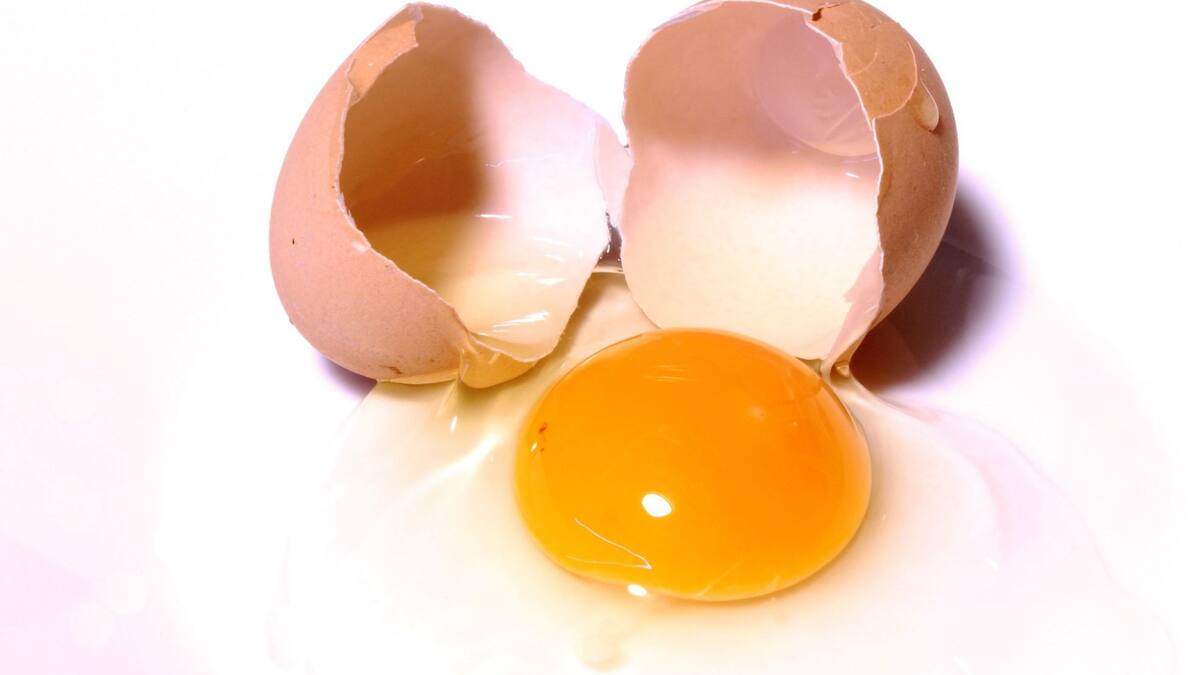 Durante años se recomendó limitar el consumo de huevos por su contenido en colesterol, pero estudios recientes muestran que, en personas sanas, comer hasta un huevo al día no representa un riesgo cardiovascular/Foto: Canva