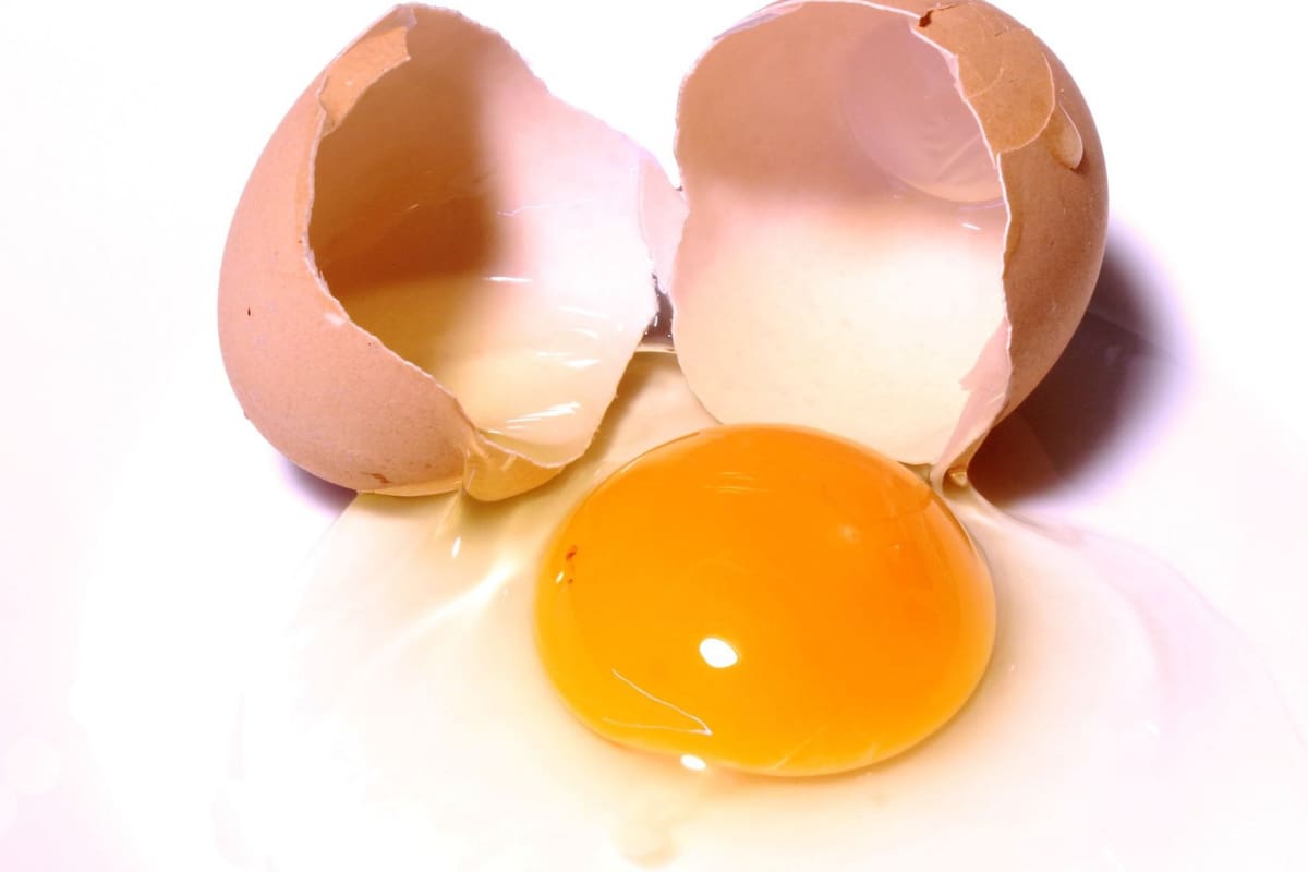 El huevo, entre el mito y la ciencia: lo que dicen los estudios más recientes