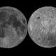 Microbios terrestres resistirían en el polo sur lunar
