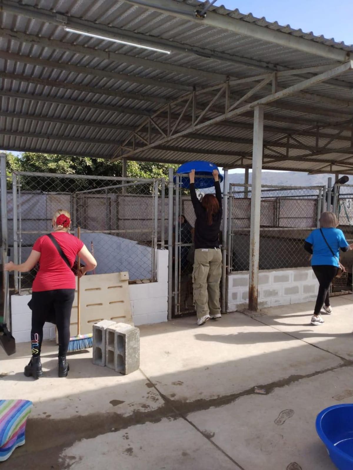 Foto: Carmen Gutiérrez