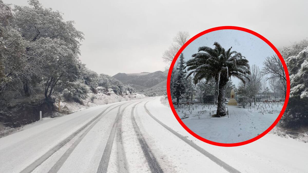 Durante la Temporada de Frentes Fríos 2024-2025, se pronostica la llegada de 48 frentes fríos y 7 tormentas invernales en México, con la primera tormenta invernal prevista para noviembre de 2024.