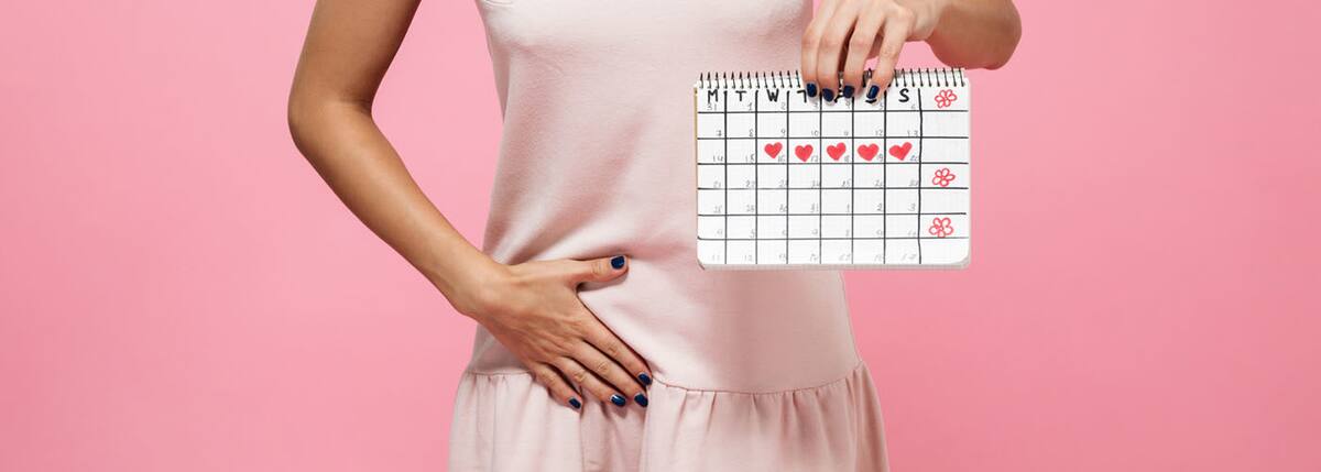 Fases del ciclo menstrual