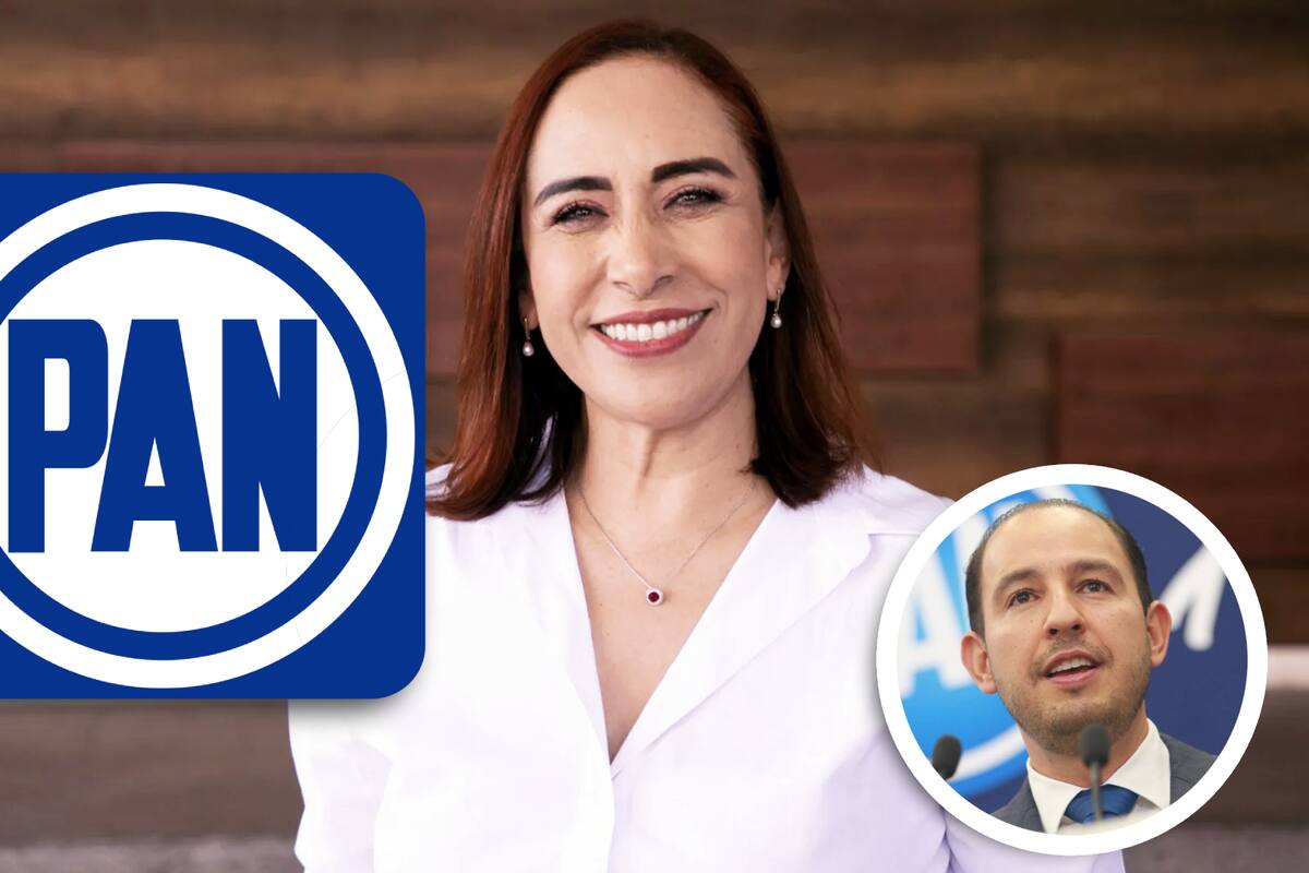 Quién es Adriana Dávila? La exsenadora que podría ser la nueva dirigente del PAN, y que coordinó la campaña de Felipe Calderón | Noticias de México | El Imparcial