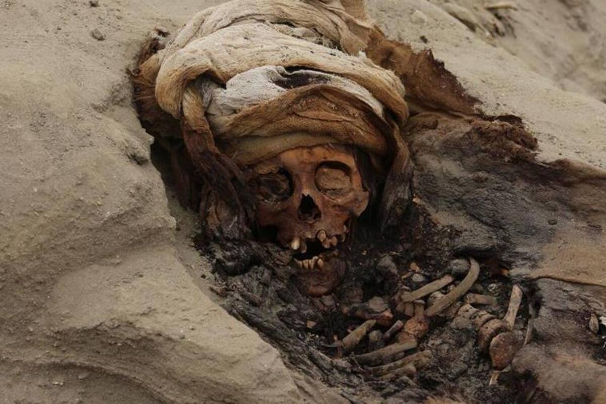 Sacrificios masivos de niños eran un ritual habitual en el Antiguo Perú