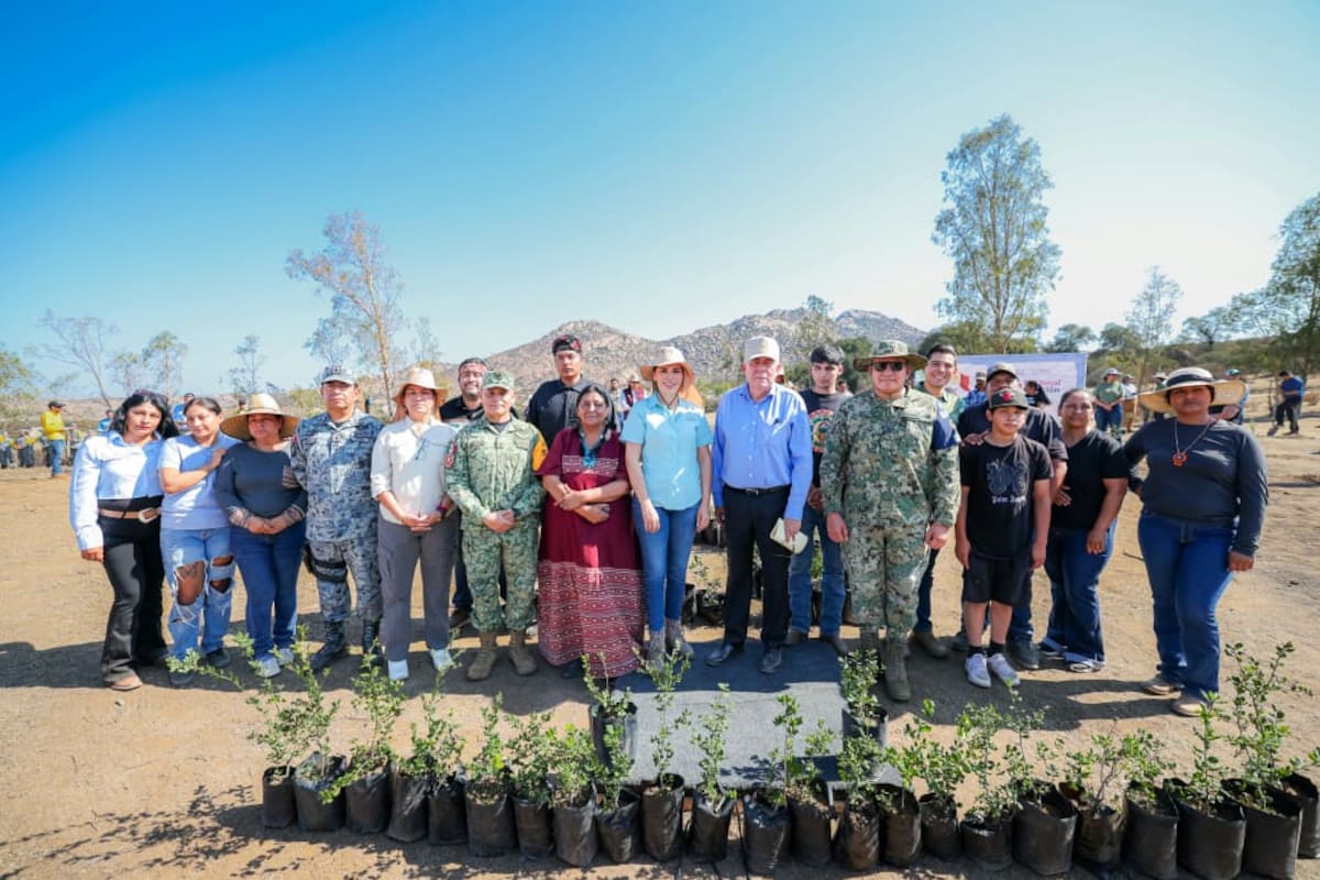 Participa Baja California en la Jornada Nacional de Reforestación 2026 para proteger y recuperar los ecosistemas