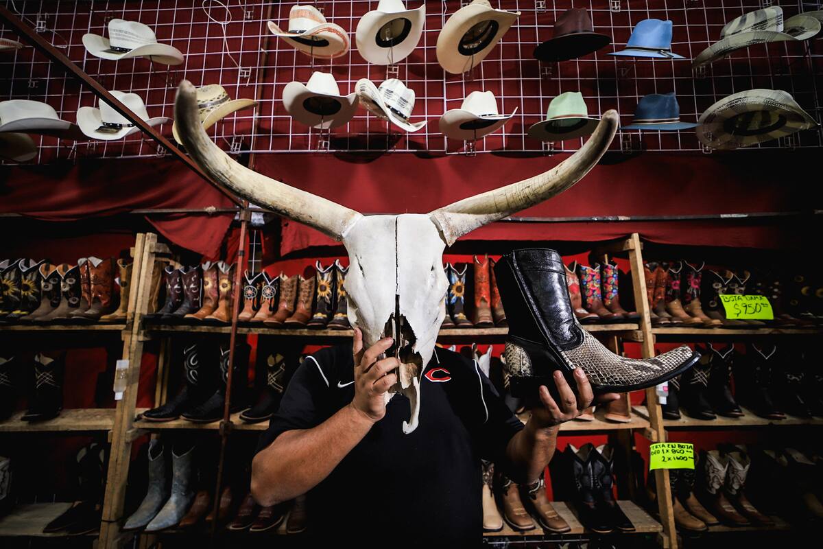 Exponen productos de Guanajuato en parque Vicente Guerrero