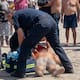 Muere joven de 24 años tras ahogarse en Playa Hermosa, en Ensenada