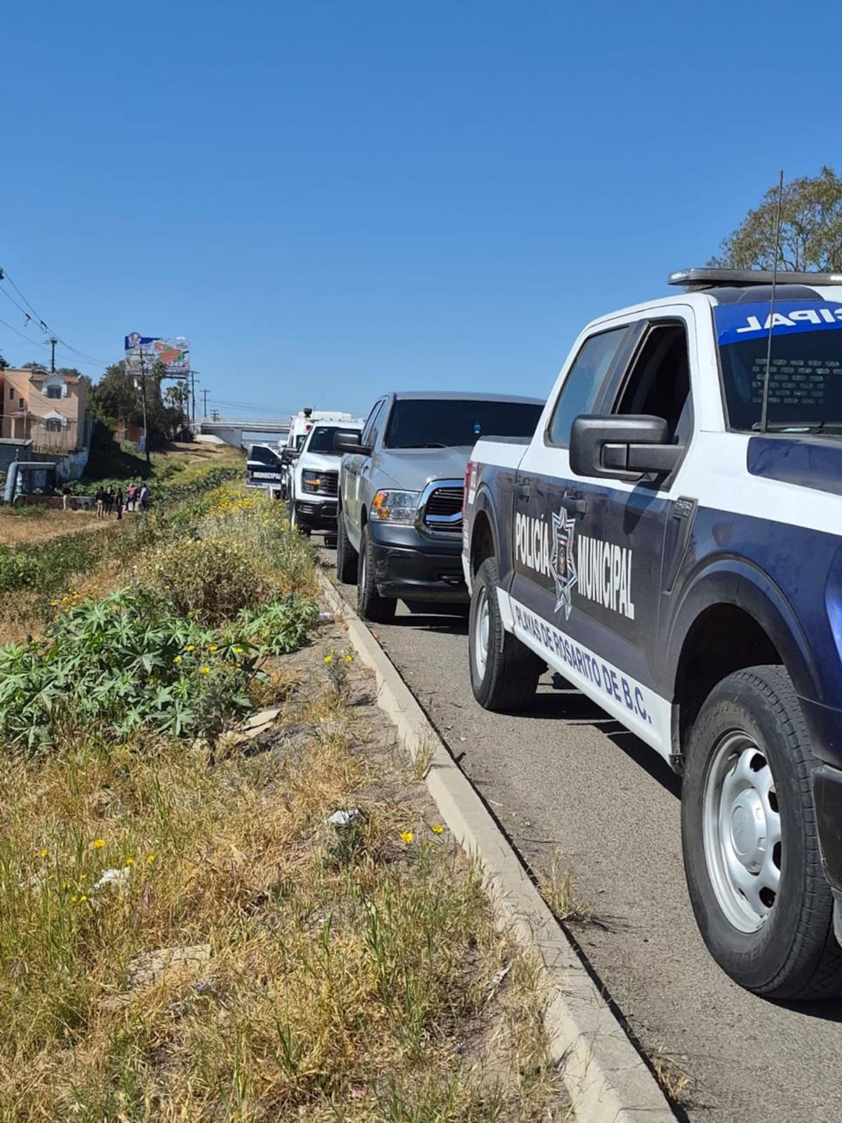 Foto: Carmen Gutiérrez