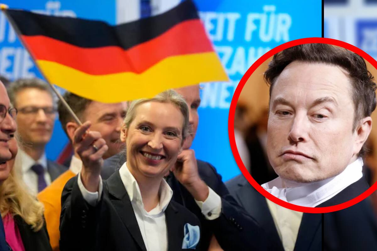 Tras el apoyo de Elon Musk a AfD, partido de extrema derecha, recibió número histórico de votos en elecciones de Alemania