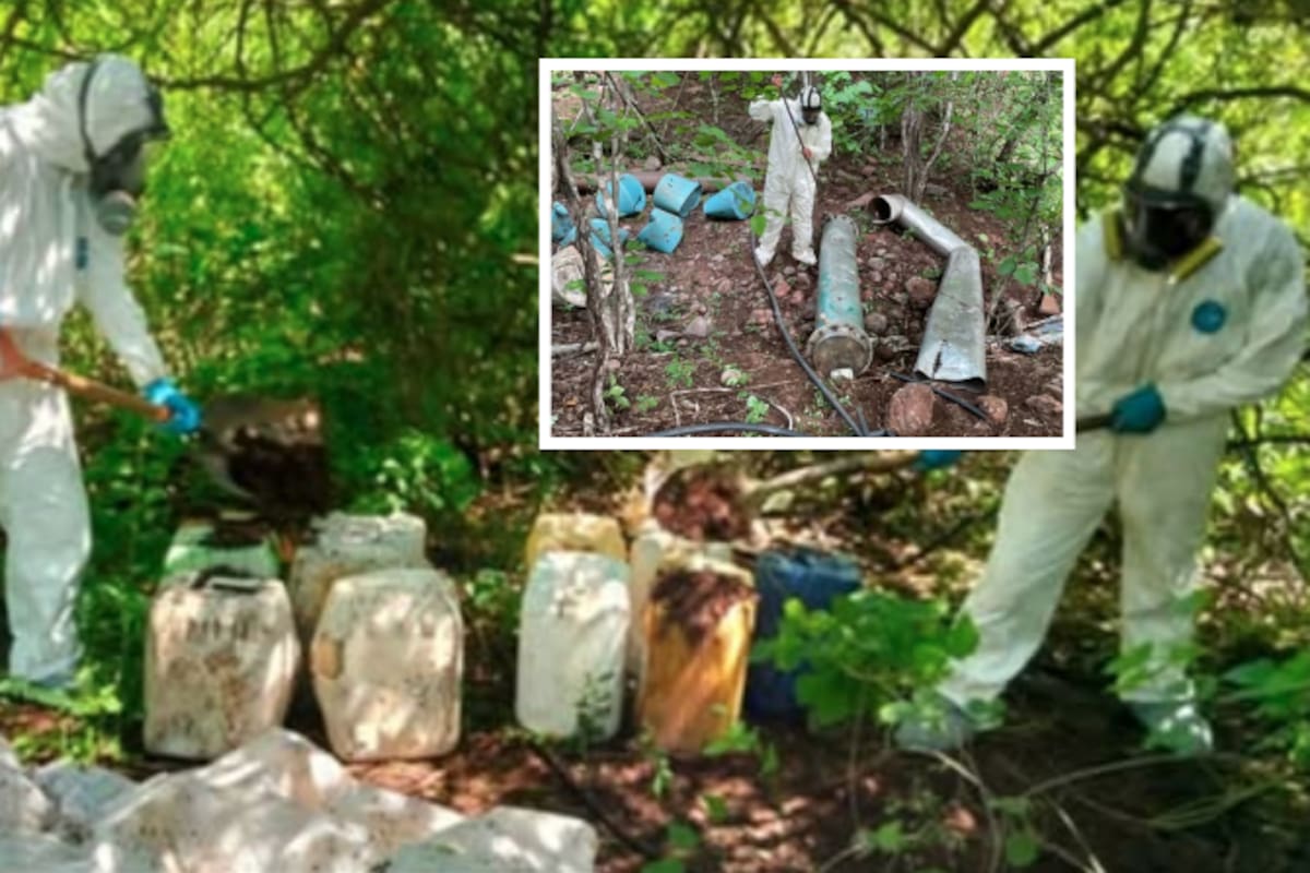 Desmantelan laboratorio clandestino y 13 zonas con químicos para droga en Culiacán, Elota y Cosalá