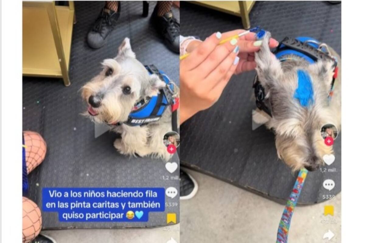 ¡Qué tierno!: Perrito hace fila para que también le pinten su carita