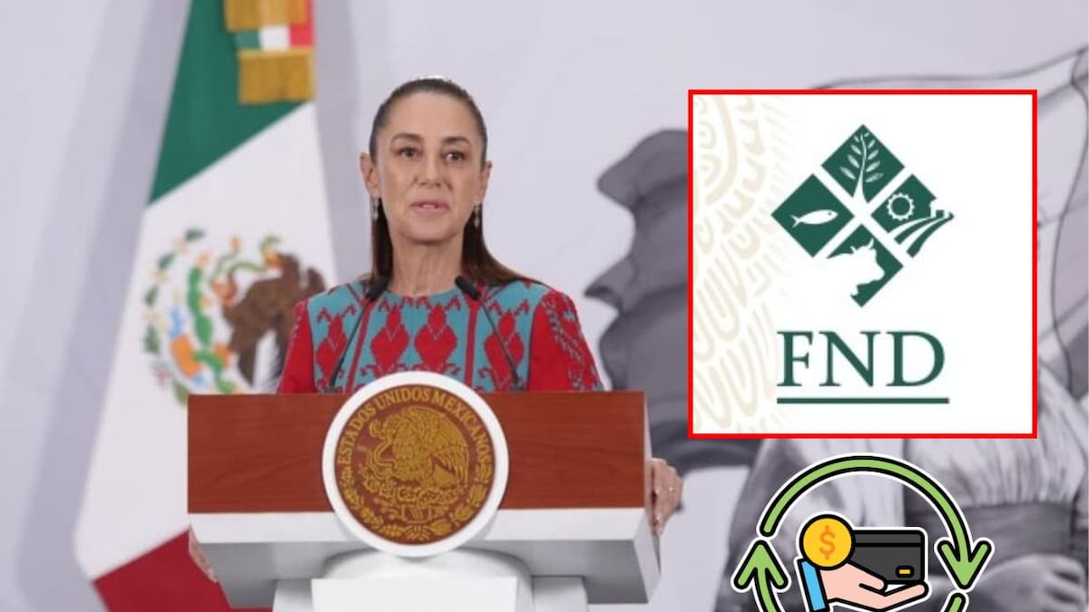 Ya es oficial: Sheinbaum lanza programa para cancelar y reestructurar deudas de la Financiera Nacional tras detectar cobros irregulares; beneficiará a más de 700 mil personas del sector rural con quitas, finiquitos, freno a despachos de cobranza y acceso a nuevo crédito para reactivar la producción agropecuaria en México