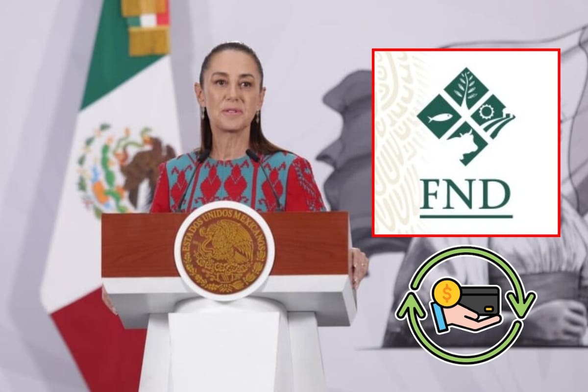 Ya es oficial: Sheinbaum lanza programa para cancelar y reestructurar deudas de la Financiera Nacional tras detectar cobros irregulares; beneficiará a más de 700 mil personas del sector rural con quitas, finiquitos, freno a despachos de cobranza y acceso a nuevo crédito para reactivar la producción agropecuaria en México