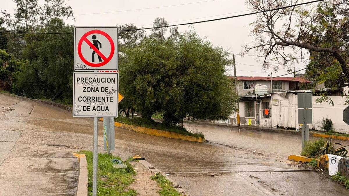 Foto: Border Zoom