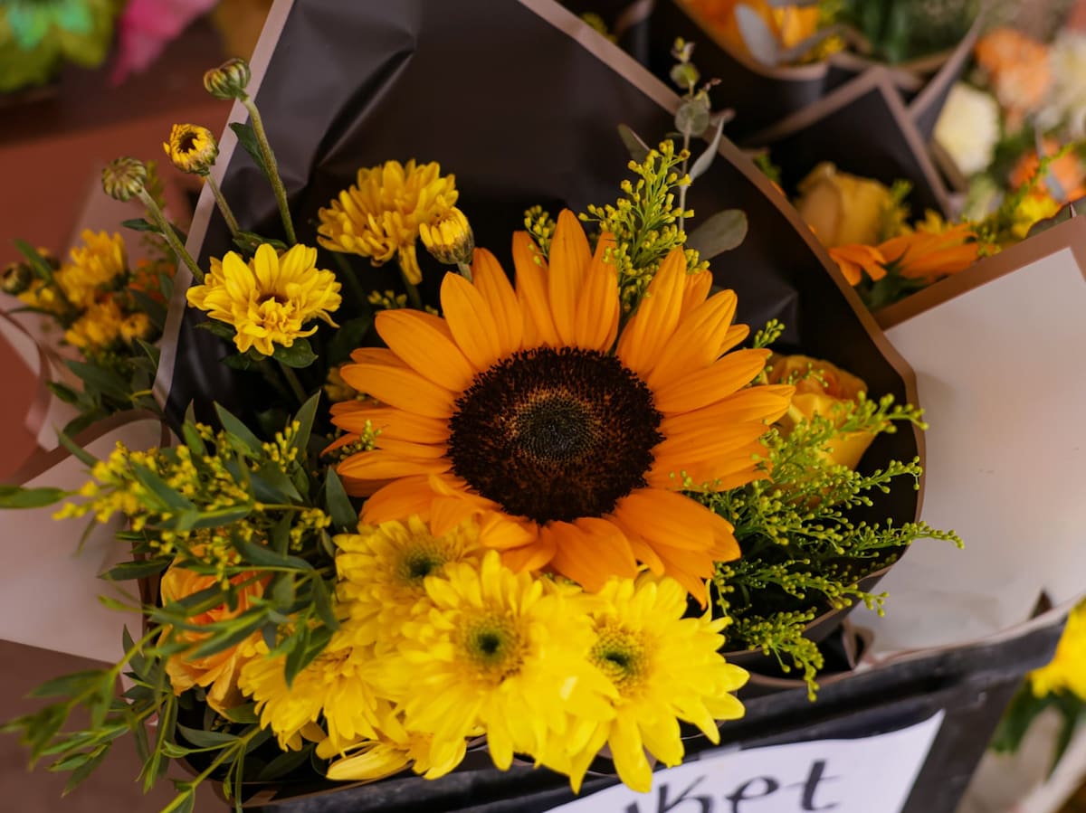 Regalar flores de este color como símbolo de afecto, amistad y lealtad. l Foto: Javier Gallegos