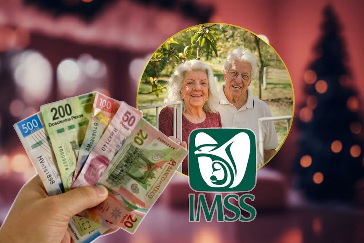 Aguinaldo IMSS 2024: ¿Cuándo se paga, quiénes lo reciben y quiénes NO?
