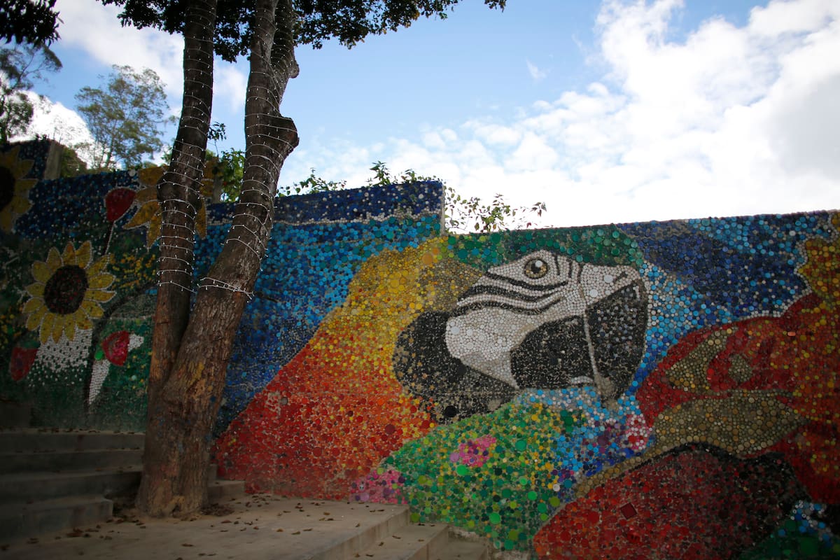 Guacamayas y flores cubren una pared en la plaza El Hatillo a las afueras de Caracas, Venezuela, el jueves 30, de enero de 2020. El artista venezolano Oscar Olivares, de 23 años, usó miles de tapas de plástico para crear el "Okomural". (Foto AP/Ariana Cubillos)