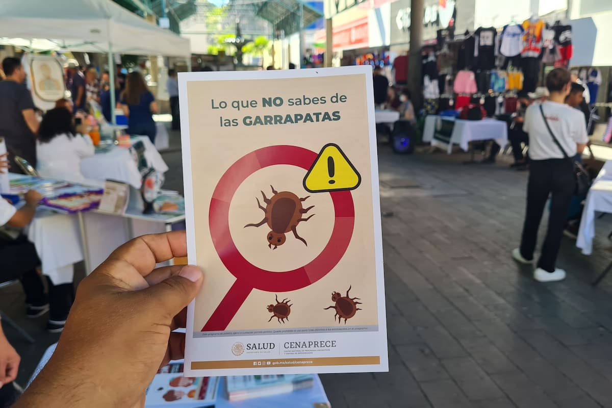 Rickettsia: Sigue Sonora a la cabeza en casos, van 4 defunciones en lo que va del 2024