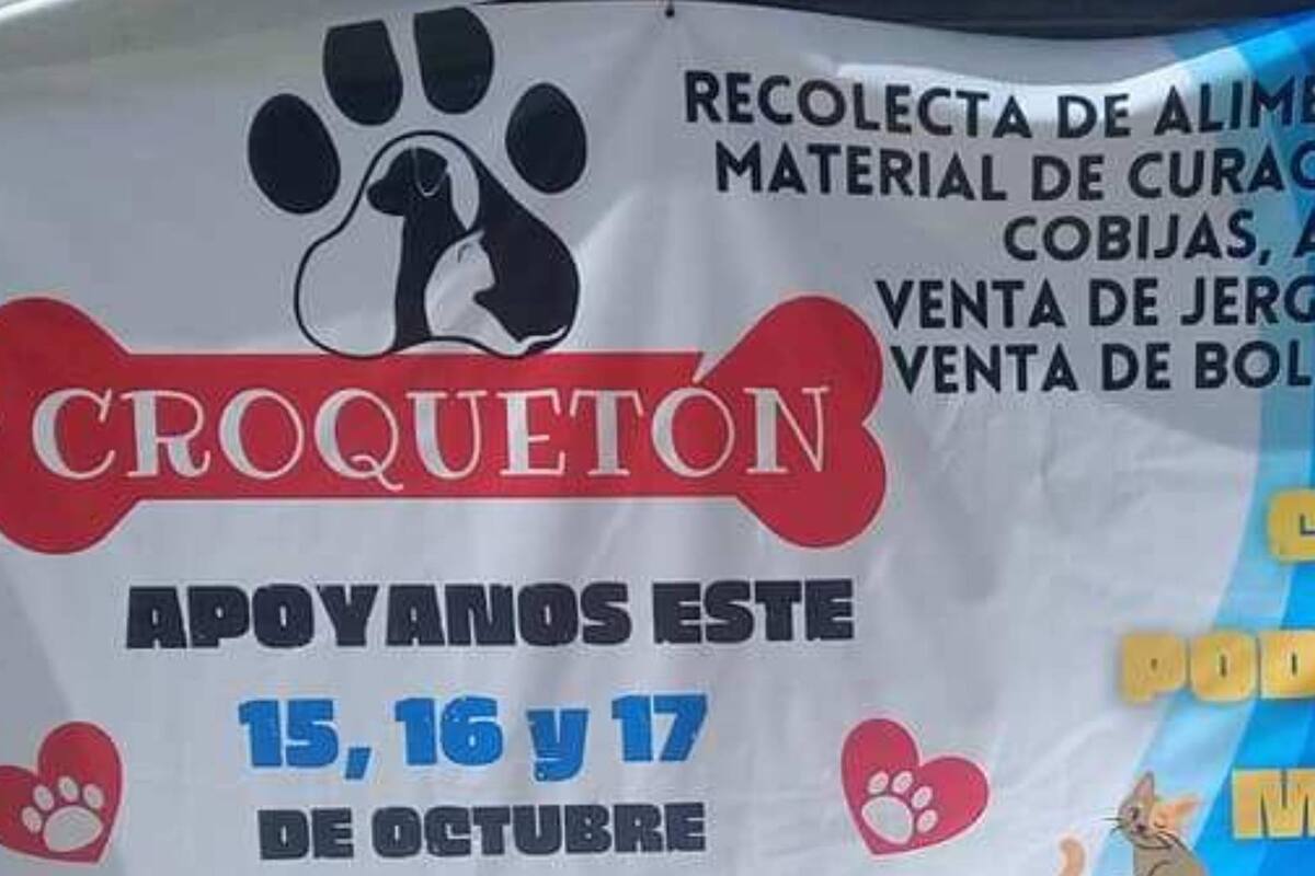 Croquetón Hermosillo: Realizan colecta de alimento para animales que están en situación de calle
