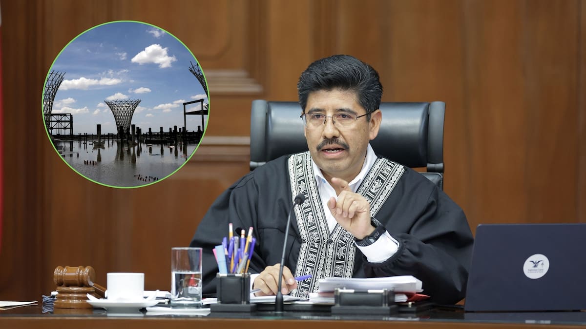 La Suprema Corte confirmó que el Lago de Texcoco se mantiene como Área Natural Protegida con base constitucional. /SCJN/Reuters/Canva