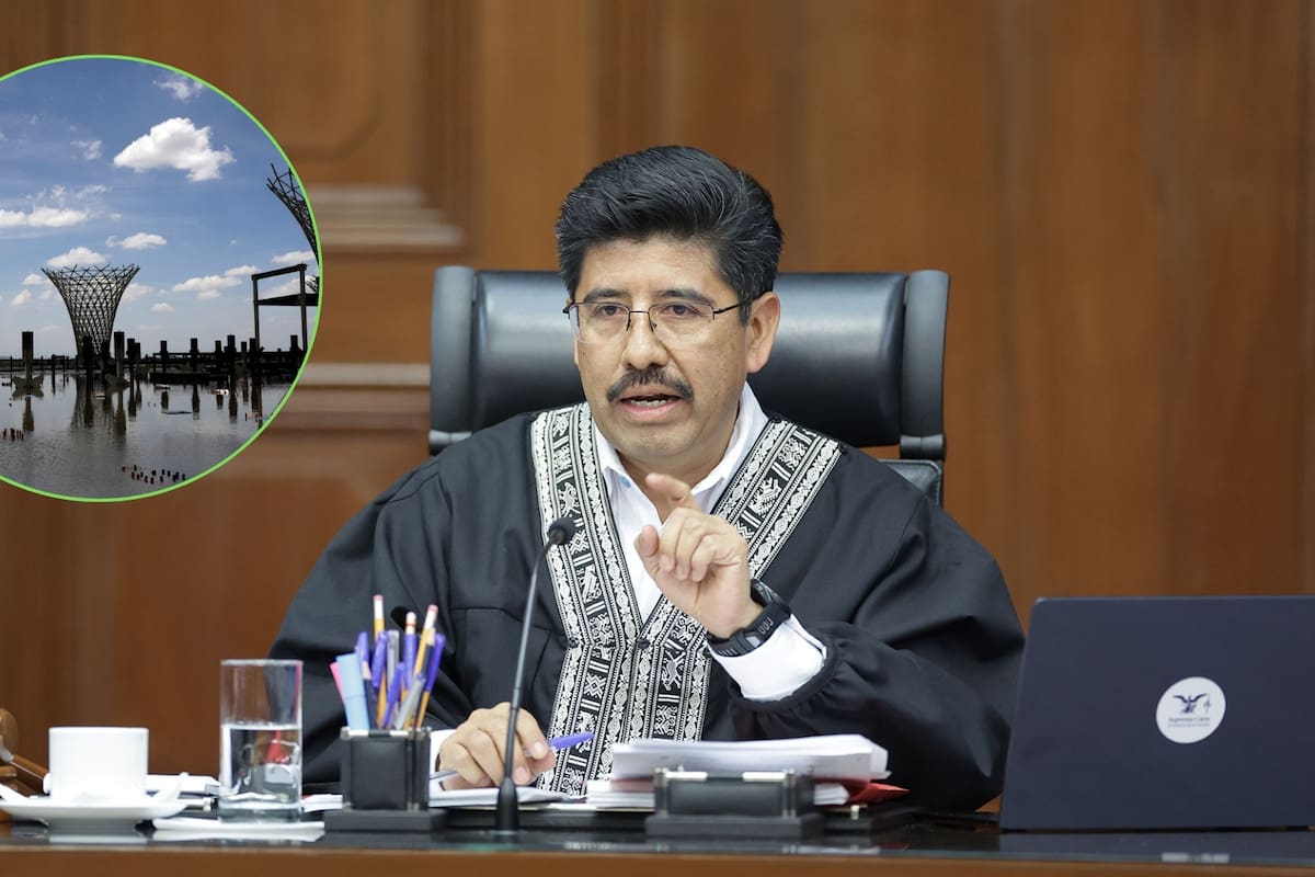 Ya es oficial: Suprema Corte confirma al Lago de Texcoco como Área Natural Protegida y cierra definitivamente la puerta al NAICM sin quitar derechos a ejidatarios