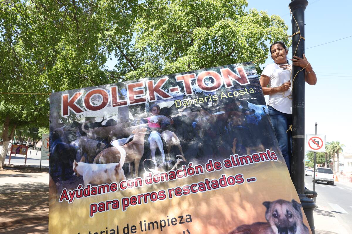 Una vez al mes realiza una jornada llamada “Kolektón” para recaudar croquetas.