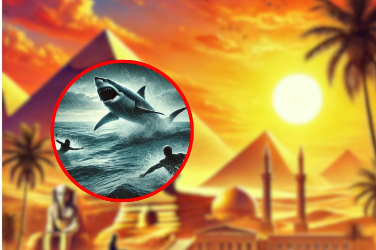 Ataque de tiburón en Marsa Alam, Egipto, deja un muerto y un herido