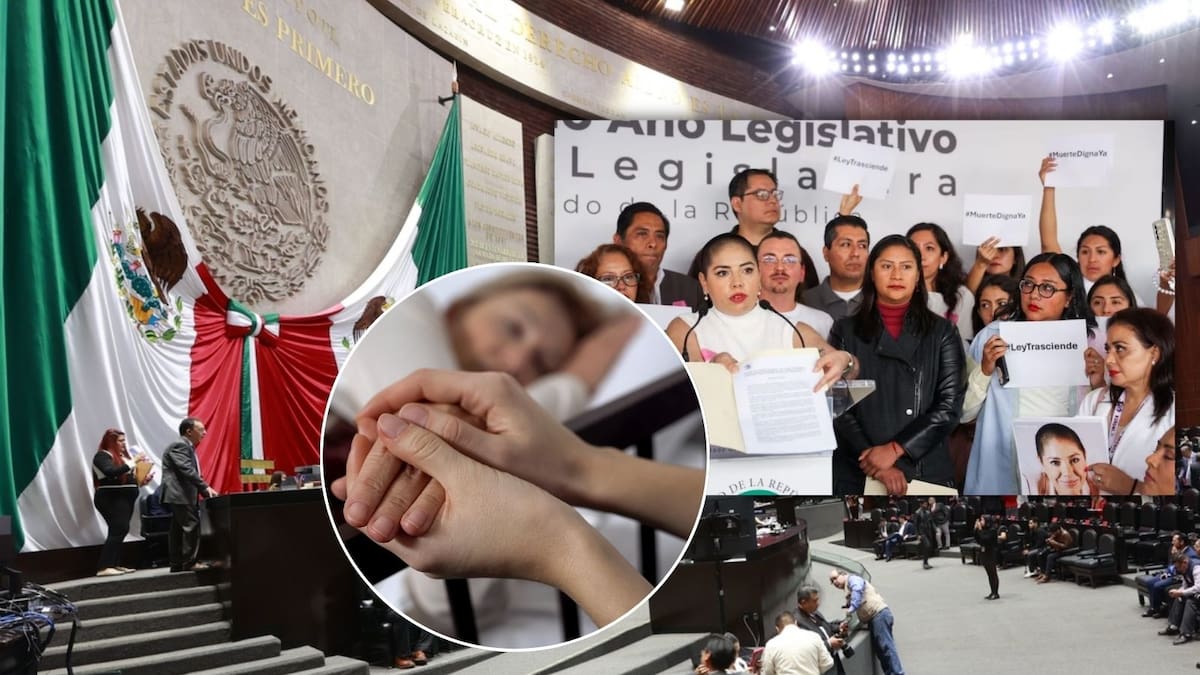 Diputada de Morena va por despenalizar la eutanasia en México: se alistan para votar la propuesta bajo la “Ley Trasciende” mientras 7 de cada 10 mexicanos sí están de acuerdo con su aprobación