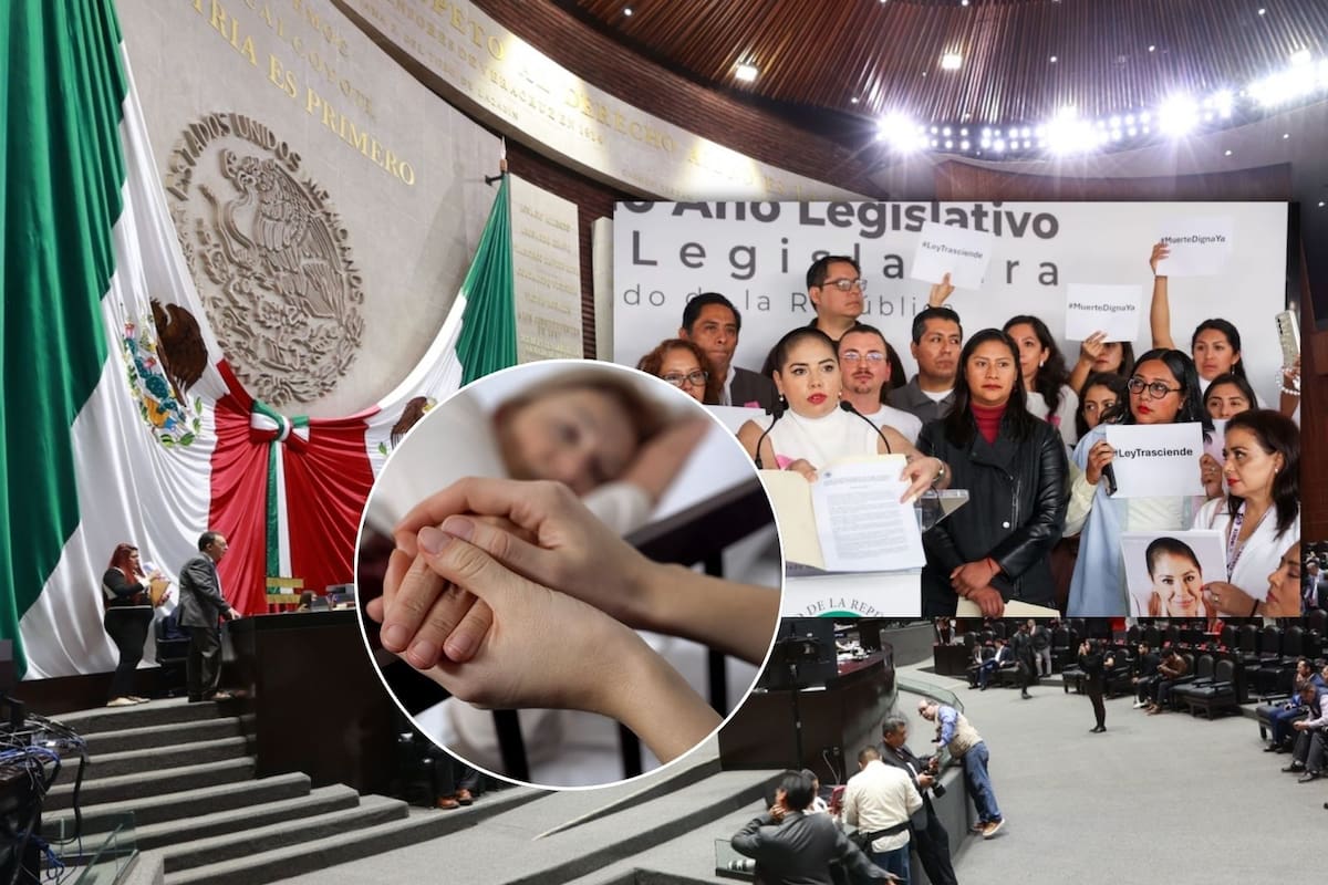 Diputada de Morena va por despenalizar la eutanasia en México: se alistan para votar la propuesta bajo la “Ley Trasciende” mientras 7 de cada 10 mexicanos sí están de acuerdo con su aprobación