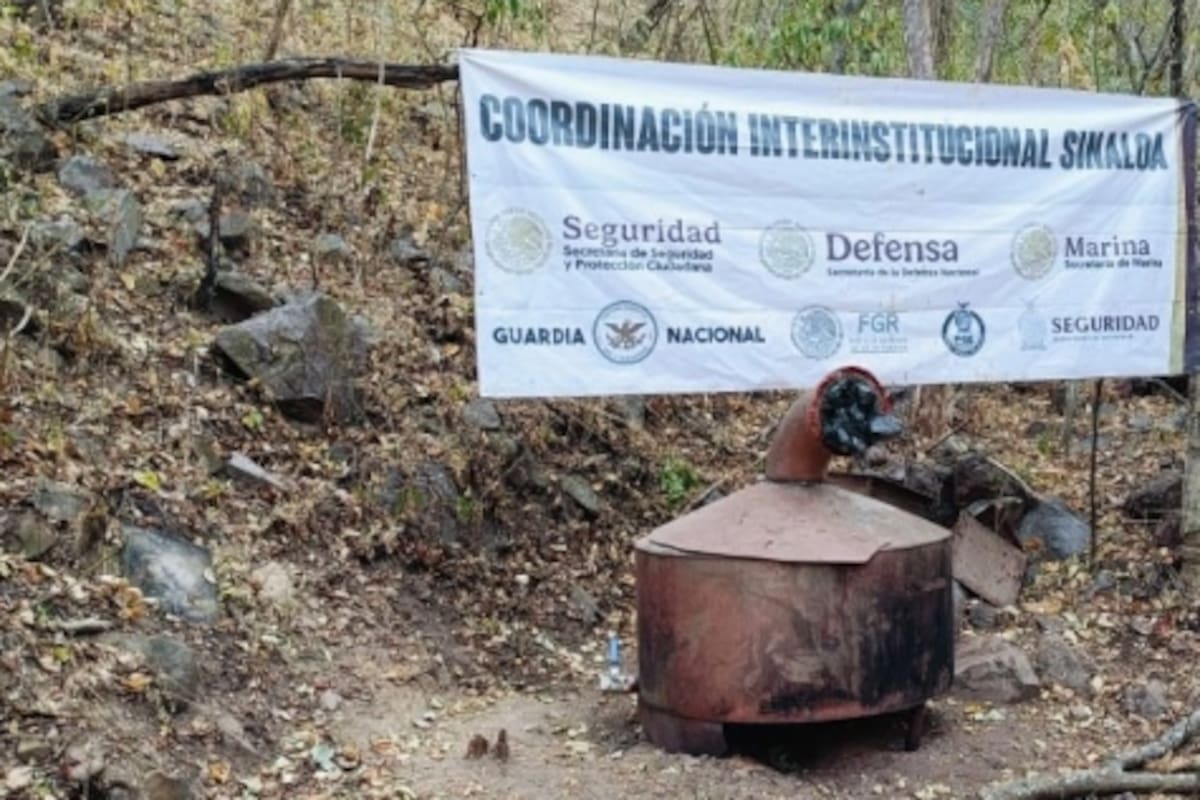 Destruyen Semar y FGR narco laboratorios y plantíos de droga en Sinaloa y Nayarit