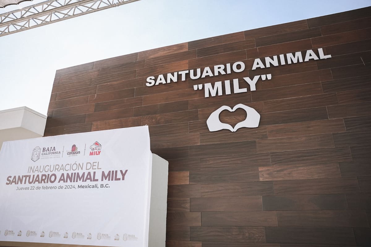 Santuario Mily descarta garrapatas pese a caso de Rickettsia