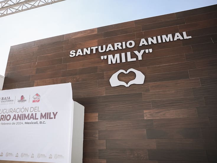 Santuario Mily descarta garrapatas pese a caso de Rickettsia