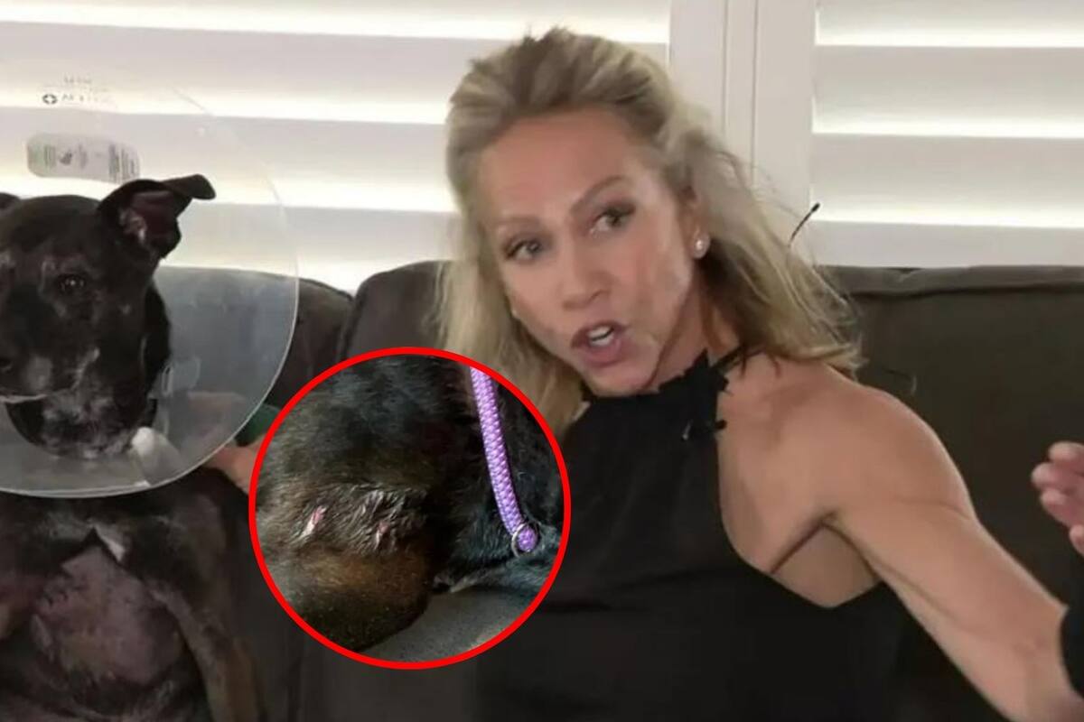 Valiente mujer abre la boca de un caimán para salvar a su perro en Florida: “Tuvimos suerte”