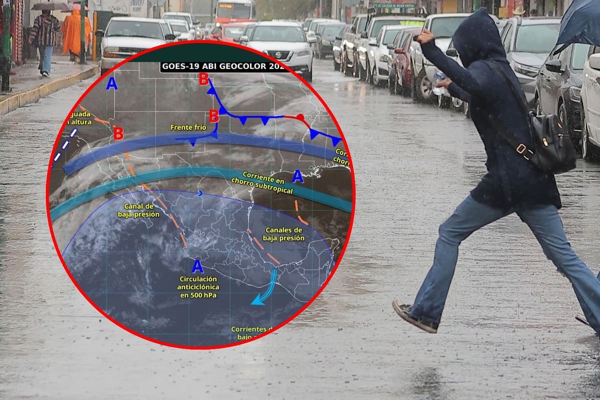 Clima hoy miércoles 29 de enero de 2026: SMN alerta por lluvias y chubascos en el sur y frente frío 32 con heladas, vientos y frío intenso en estas ciudades