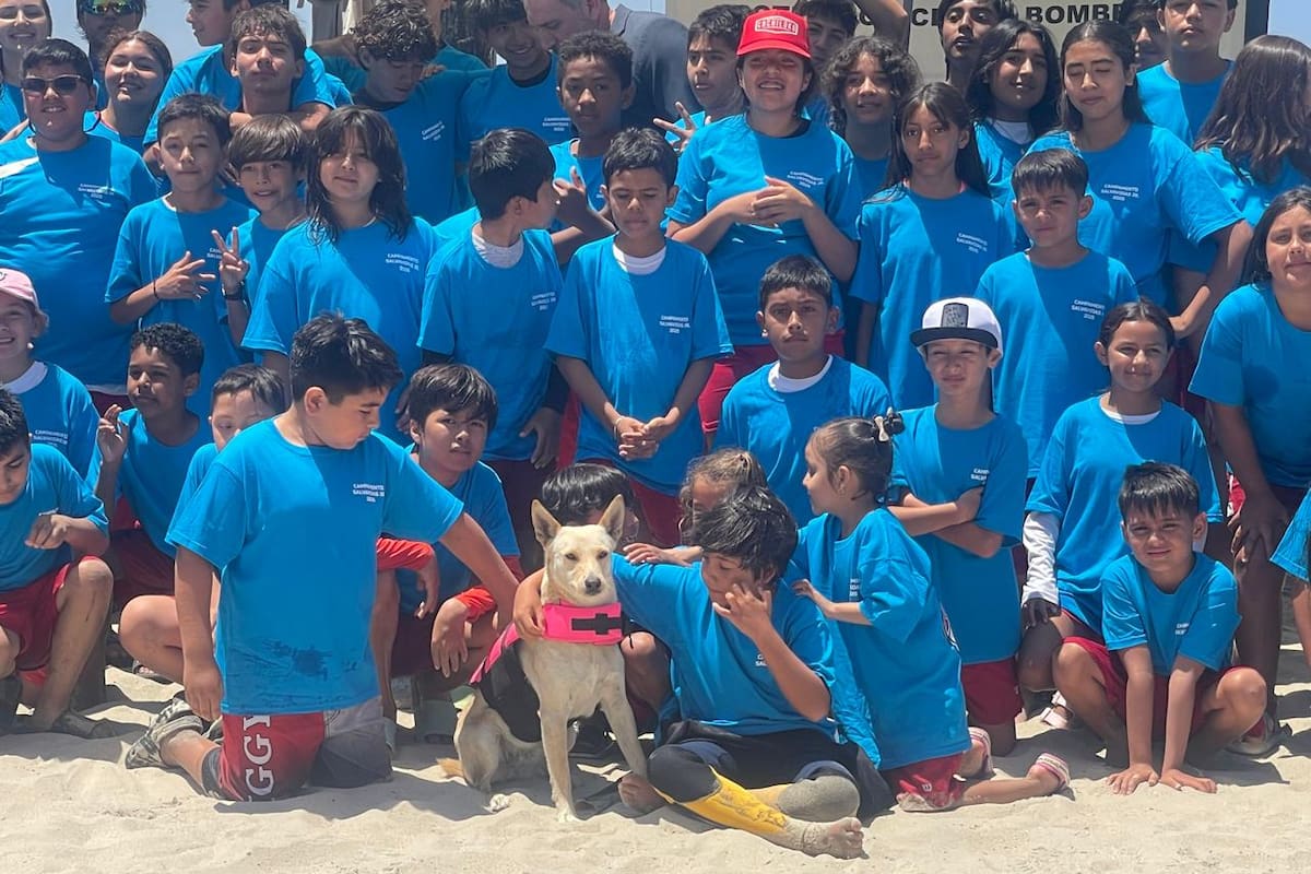 Estrella, la perrita salvavidas que conquista corazones en el campamento Junior de Rosarito
