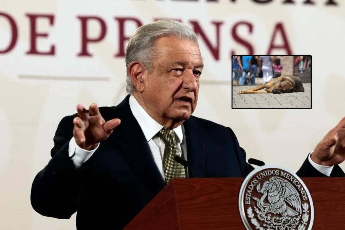 Obrador presentará propuesta para que prohibición del maltrato animal sea constitucional