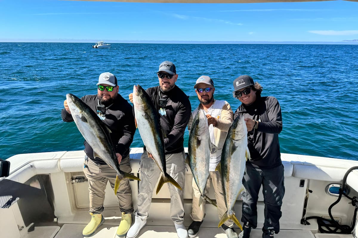 DIVERSIÓN MARÍTIMA