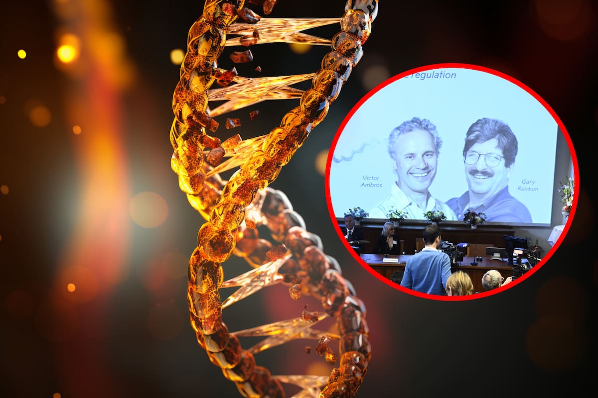¿Qué es MicroRNA?: Investigadores de esta rama ganaron el Nobel de Medicina 2024