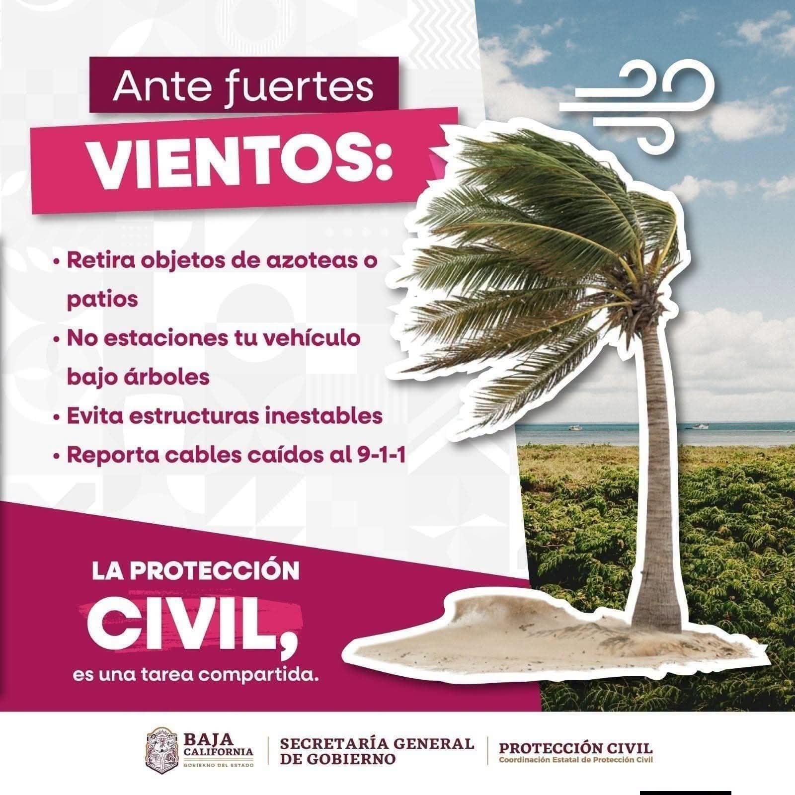 Se prevén vientos de Santa Ana con rachas de 50 a 70 kilómetros por hora, que tendrán mayor intensidad durante las tardes en Tecate, Ensenada, San Quintín, San Felipe y zonas serranas. Foto: Cortesía