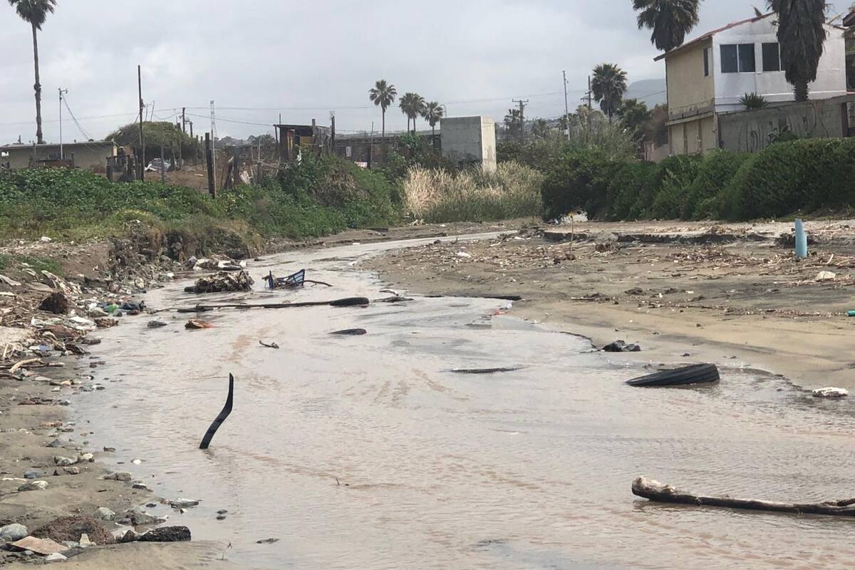 Playa centro de Rosarito tiene basura tras lluvias