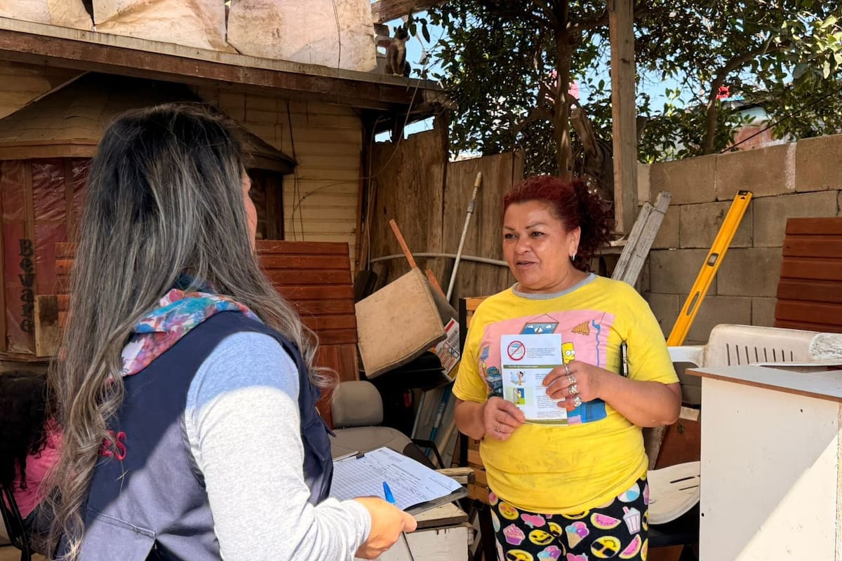 Importante identificar signos y síntomas de la rickettsiosis para un tratamiento oportuno