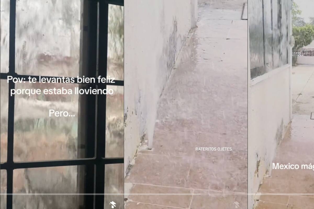 Mujer creía que estaba lloviendo afuera, ¡pero descubre que le habían robado el medidor del agua!