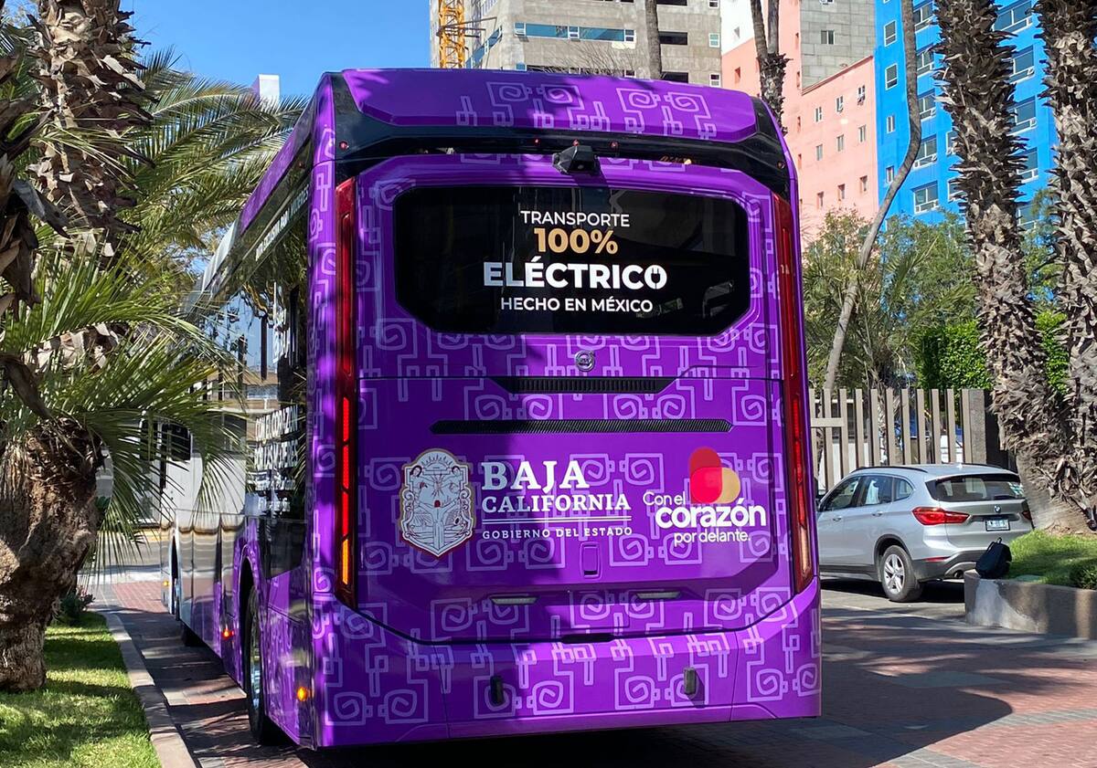 Se tienen contempladas por lo menos otros 8 vehículos tipo Urban.