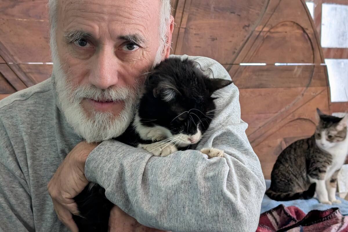 Rescatista de gatos de Hermosillo requiere ayuda para prótesis