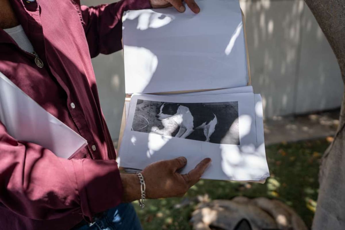 A casi dos años de la tragedia, familia exige que CFE responda por muerte de hombre y su perro electrocutados